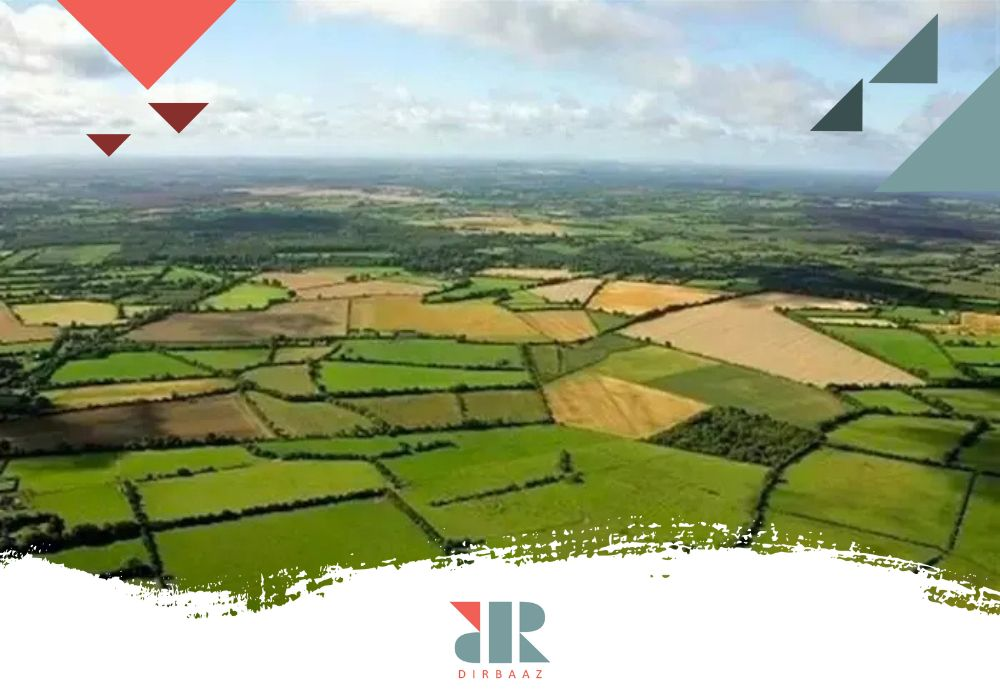 مزایا و معایب خرید زمین‌های کشاورزی