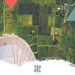 سند مالکیت تک برگ برای یک زمین کشاورزی سرسبز طبق قانون جدید صدور سند