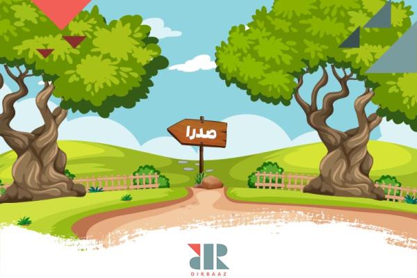 معرفی باغ شهری های شهر صدرا با مزایا و معایب