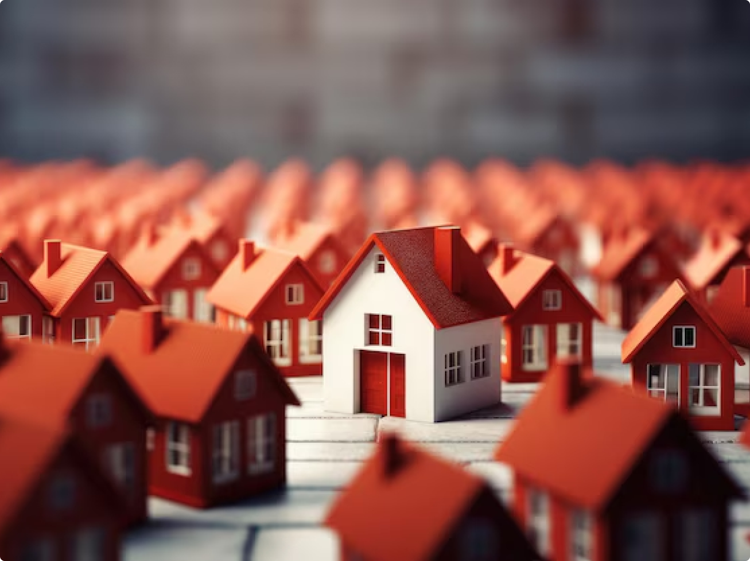 فراخوان عضویت